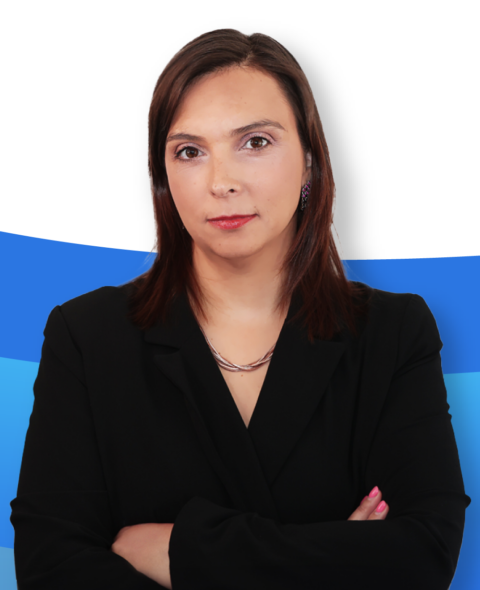 INCURSO_Joana-Figueiredo