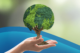 Planos de Acao Climatica- Como fazer